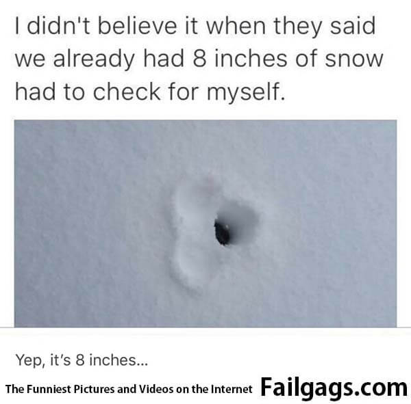 I Didn't Believe It When They Said We Already Had 8 Inches of Snow Had to Check for Myself Yep Its 8 Inches Meme