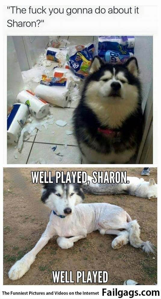 The Fuck You Gonna Do About It Sharon? Well Played, Sharon. Well Played Meme