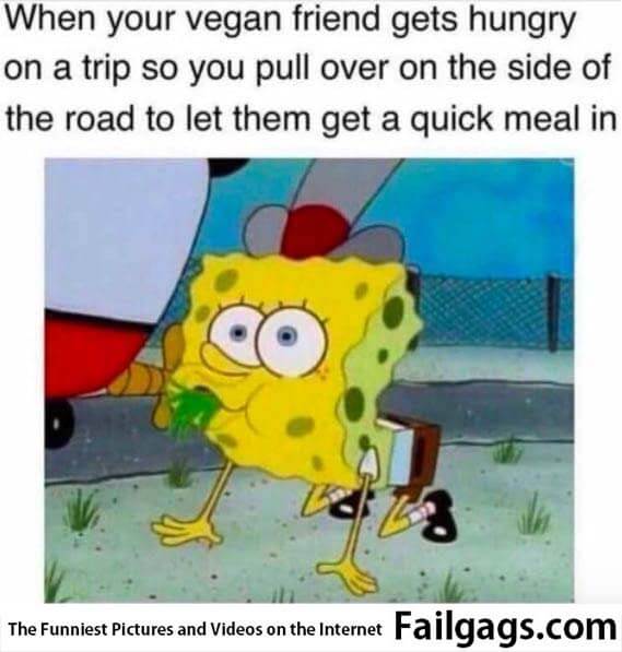 When Your Vegan Friend Gets Hungry on a Trip So You Pull Over on the Side of the Road to Let Them Get a Quick Meal in Meme