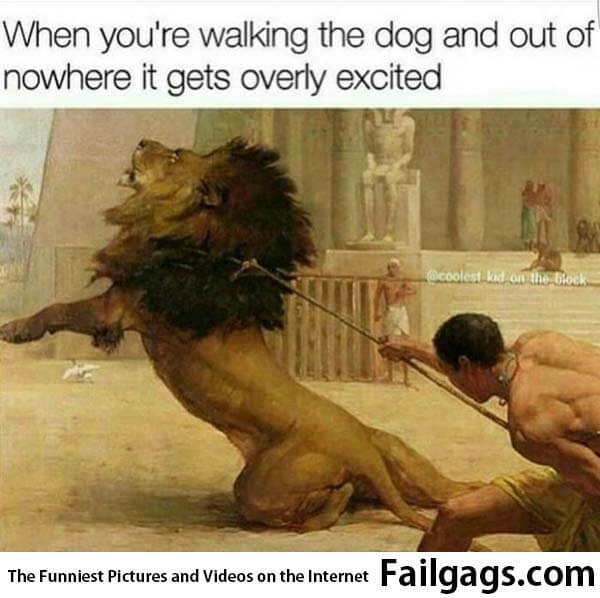 When You're Walking the Dog and Out of Nowhere It Gets Overly Excited Meme