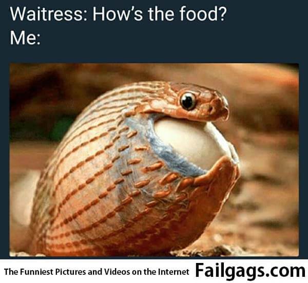 Waitress How's the Food? Me Meme