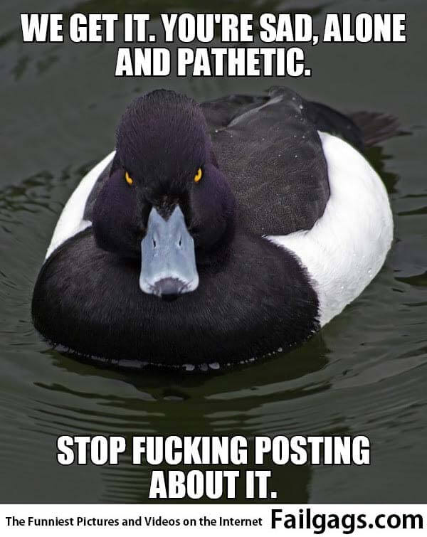 We Get It Youre Sad Alone and Pathetic Stop Fuckign Posting About It Meme