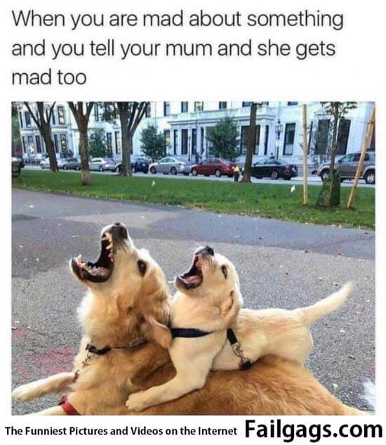 When You Are Mad About Something and You Tell Your Mom and She Gets Mad Too Meme