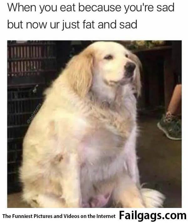When You Eat Because You're Sad but Now Ur Just Fat and Sad Meme