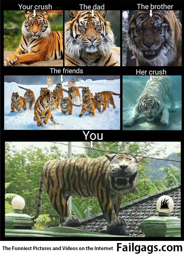 Your Crush Vs You Meme