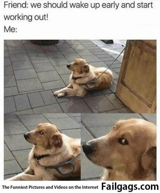 Friend We Should Wake Up Early and Start Working Out! Me Meme