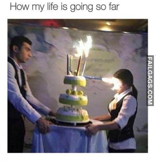 How My Life Is Going So Far Meme
