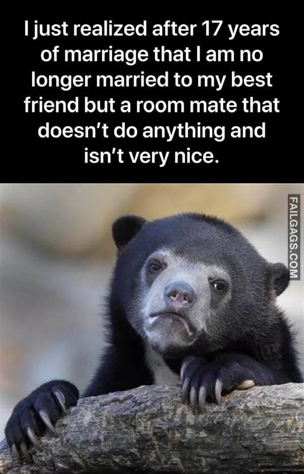 I Just Realized After 17 Years of Marriage That I Am No Longer Married to My Best Friend but a Room Mate That Doesn't Do Anything and Isn't Very Nice Meme