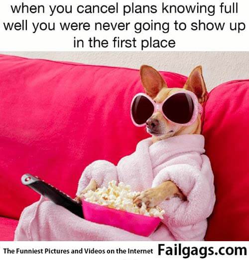 When You Cancel Plans Knowing Full Well You Were Never Going to Show Up in the First Place Meme