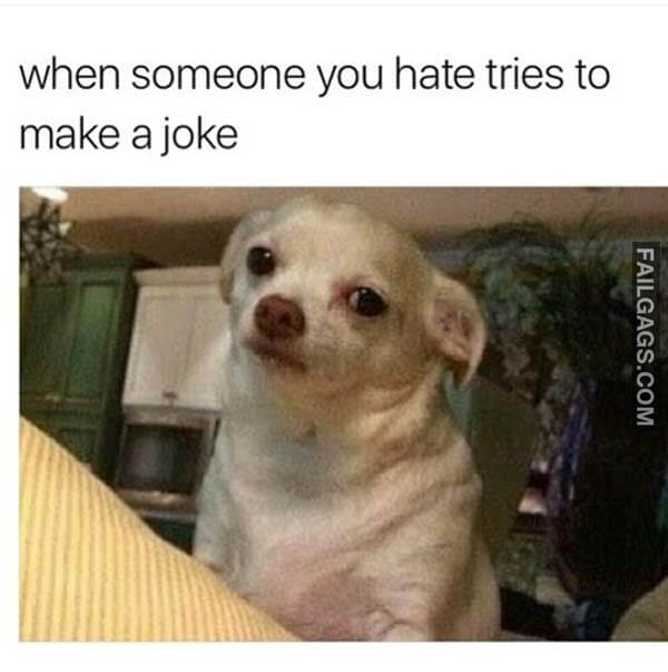 When Someone You Hate Tries To Make A Joke Meme