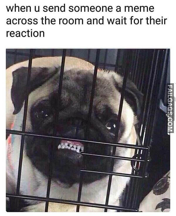 When U Send Someone A Meme Across The Room And Wait For Their Reaction Meme