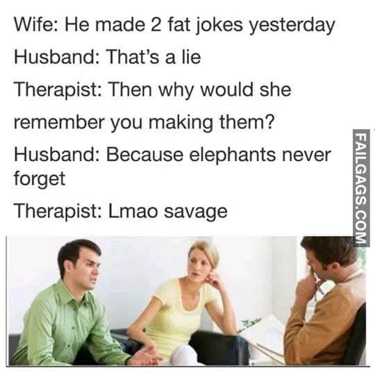 Wifi He Made 2 Fat Jokes Yesterday Husband That's A Lie Therapist Then Why Would She Remember You Making Them? Husband Because Elephants Naver Forget Therapist Imao Savage Meme