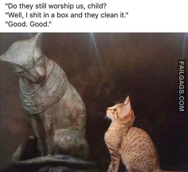 Do They Still Worship Us Child? Well I Shit In A Box And They Clean It Good Good Meme