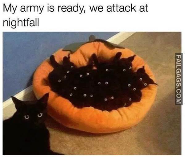 My Army Is Ready We Attack At Nightfall Meme