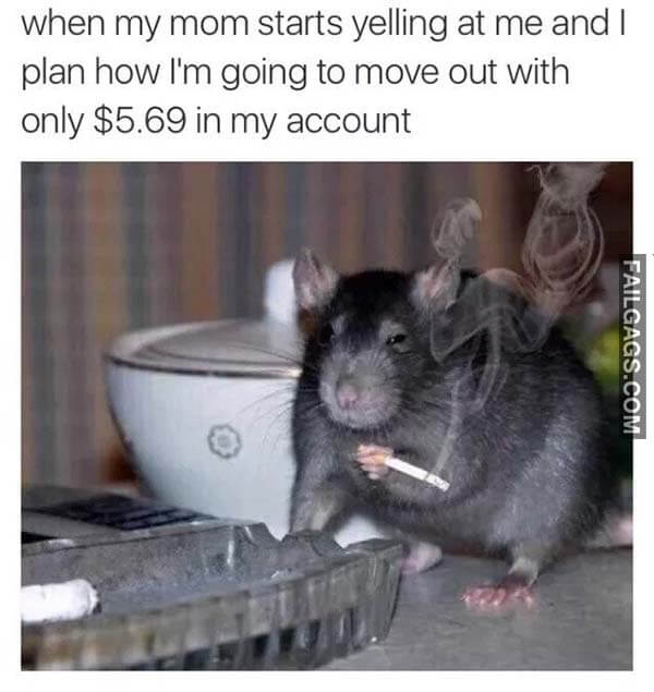 When My Mom Starts Yelling At Me And I Plan How I'm Going To Move Out With Only $5.69 In My Account Meme