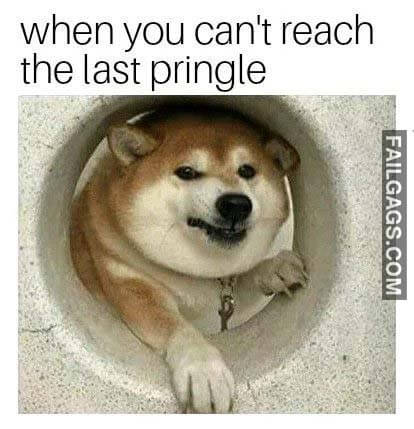 When You Can't Reach The Last Pringle Meme