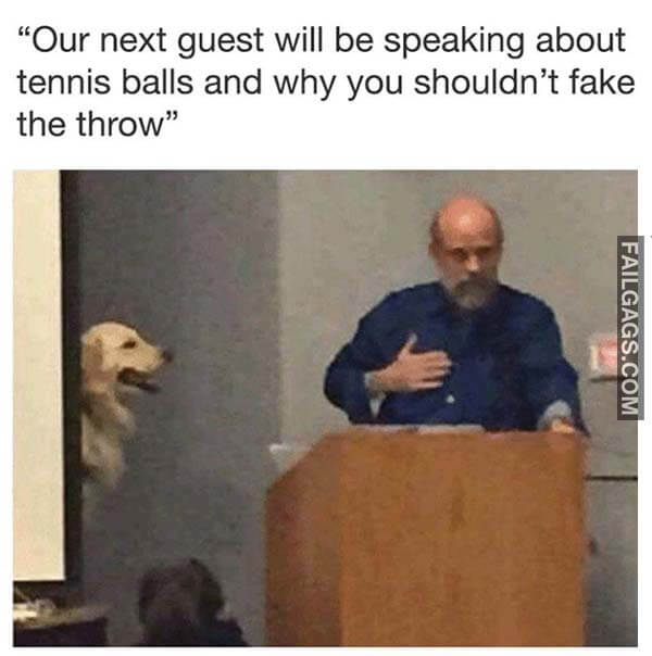 Our Next Guest Will Be Speaking About Tennis Balls And Why You Shouldn't Fake The Throw Meme