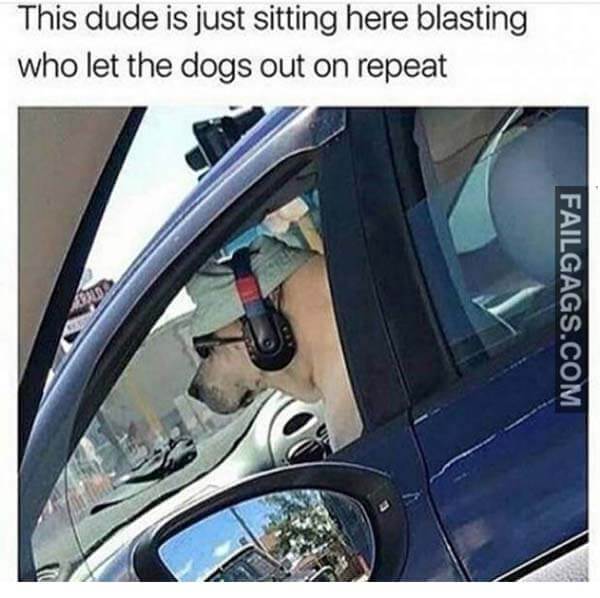 This Dude Is Just Sitting Here Blasting Who Let The Dogs Out On Repeat Meme