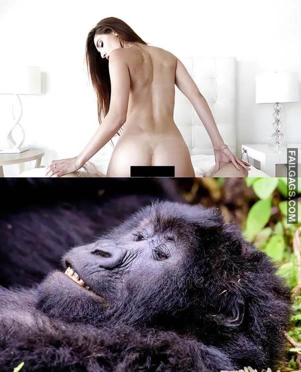 During Sex What You See Vs What She Sees Meme