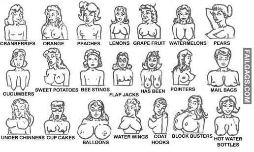 Funny Boobs Chart Meme