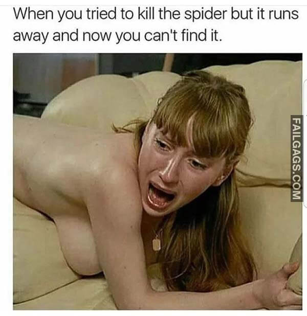 When You Tried To Kill The Spider But It Runs Away And Now You Can't Find It Meme