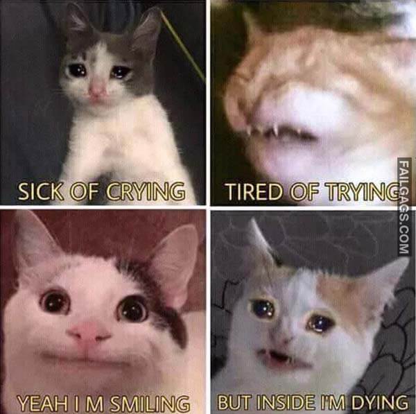Sick Of Crying Tired Of Trying Yeah I ' M Smiling But Inside Im Dying Meme
