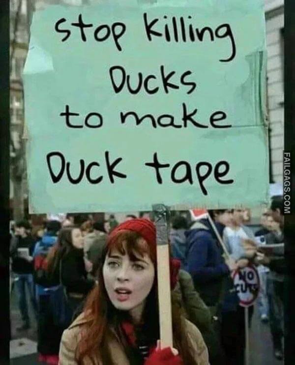 Stop Killing Ducks To Make Duct Tape Meme