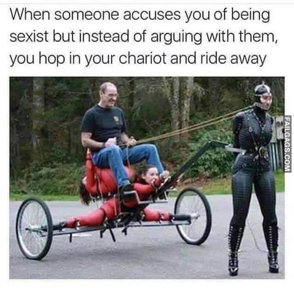 When Someone Accuses You Of Being Sexist But Instead Of Arguing With Them, You Hop In Your Chariot And Ride Away Meme