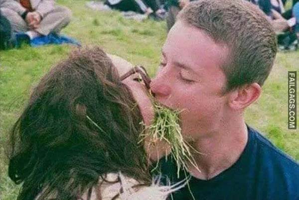 Vegan Kiss Meme