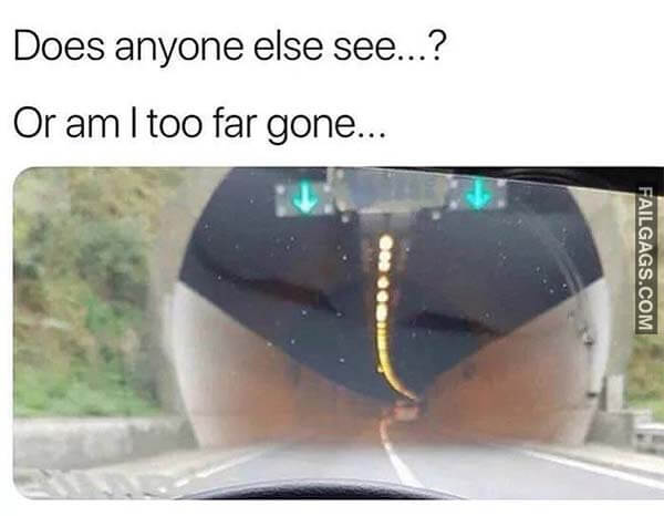 Does Anyone Else See...? Or Am I Too Far Gone... Meme