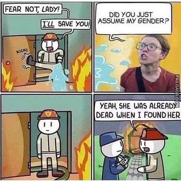 Fear Not Lady! I'll Save You Did You Just Assume My Gender? Yeah She Was Already Dead When I Found Her Meme