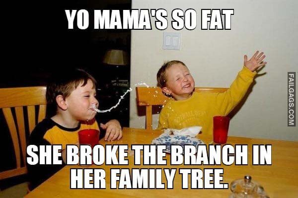 Yo Mama's So Fat She Broke Your Family Tree Meme