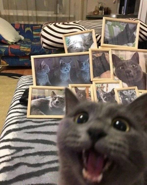 Funny Photos That Will Make You Take a Closer Look 