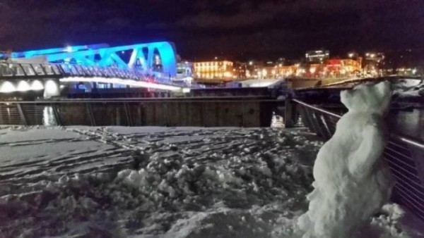 Funny Photos That Will Make You Take a Closer Look 