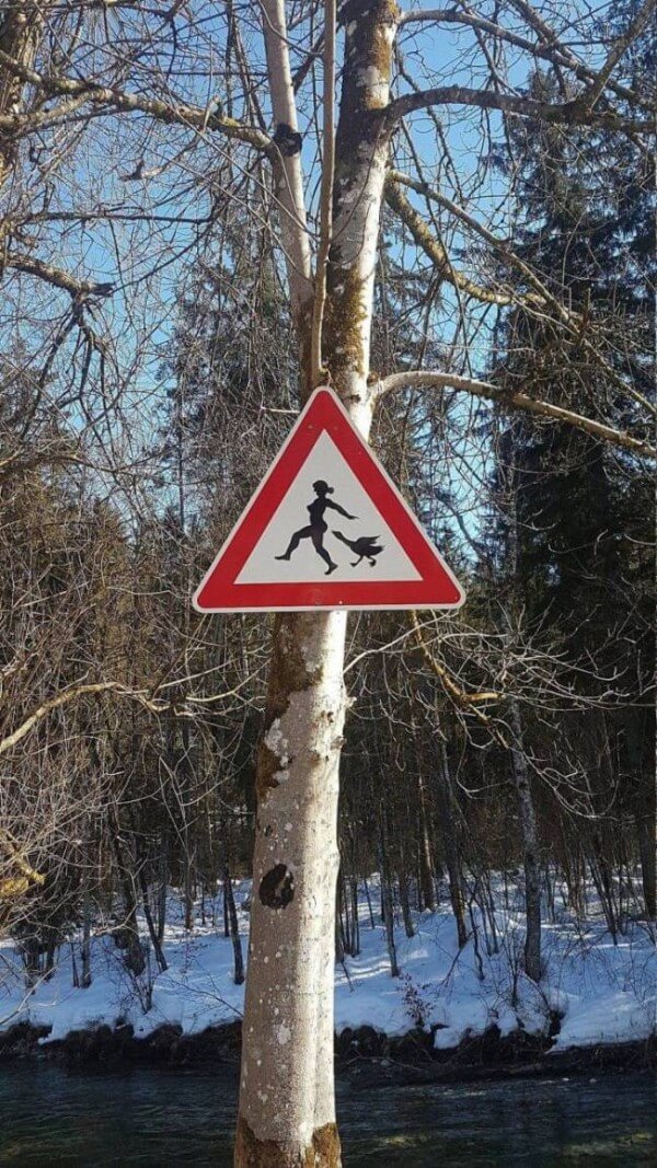 Sh*t Happens Sometimes 