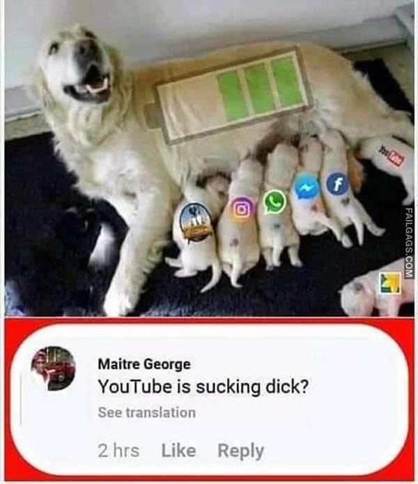 Youtube Is Sucking Dick Meme