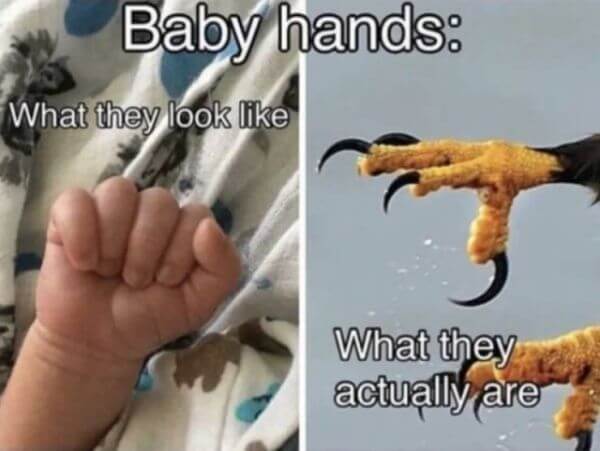 Funny Baby Memes for Every Parent to Read Between Changings 