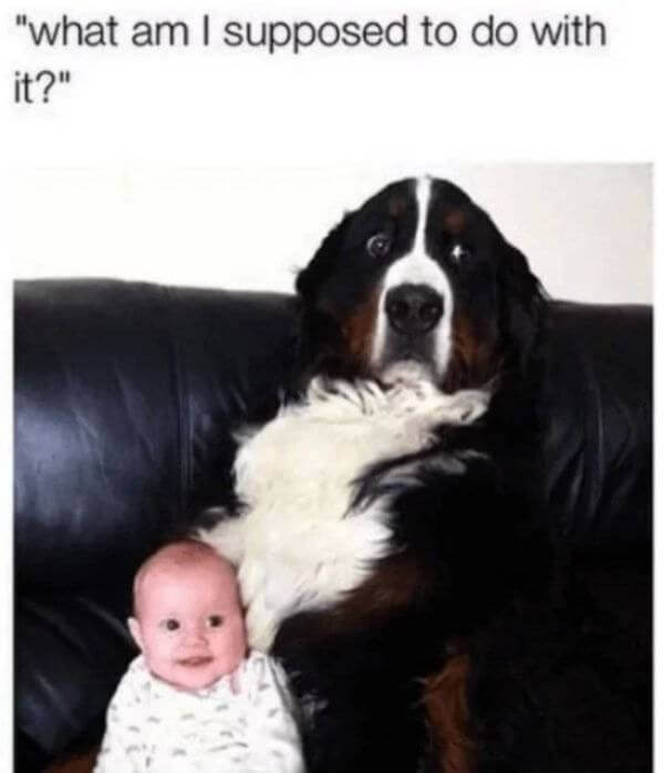 Funny Baby Memes for Every Parent to Read Between Changings 