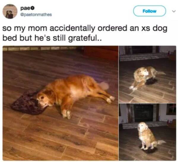 Online Shopping Funny Reviews Can Be Very Useful 