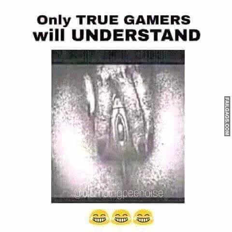 Only True Gamers Will Understand Meme
