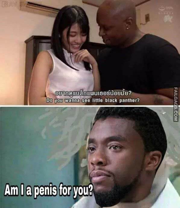 Do You Wanna See Little Black Panther Am I a Penis for You Meme