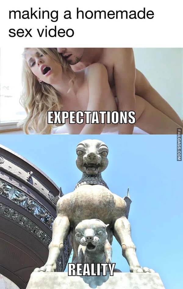 Making a Homemade Sex Video Expectations Vs Reality Meme