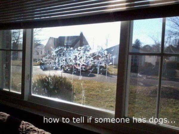 The Definition of a Bad Day 