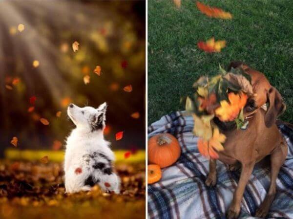 Funny Expectations Vs Reality 