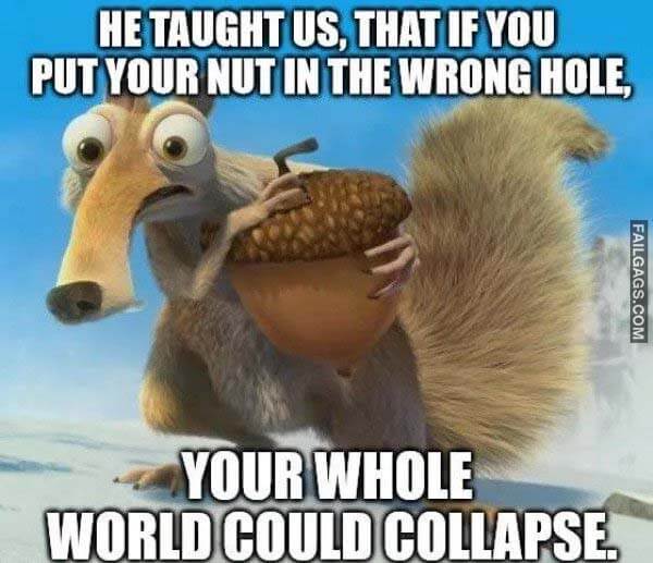 He Taught Us, That if You Put Your Nut in the Wrong Hole, Your Whole World Would Collapse Meme