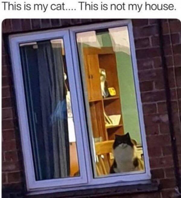 Shit Happens Funny Pictures 