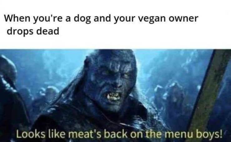 Just Try Not to Laugh at These Funny Pics 