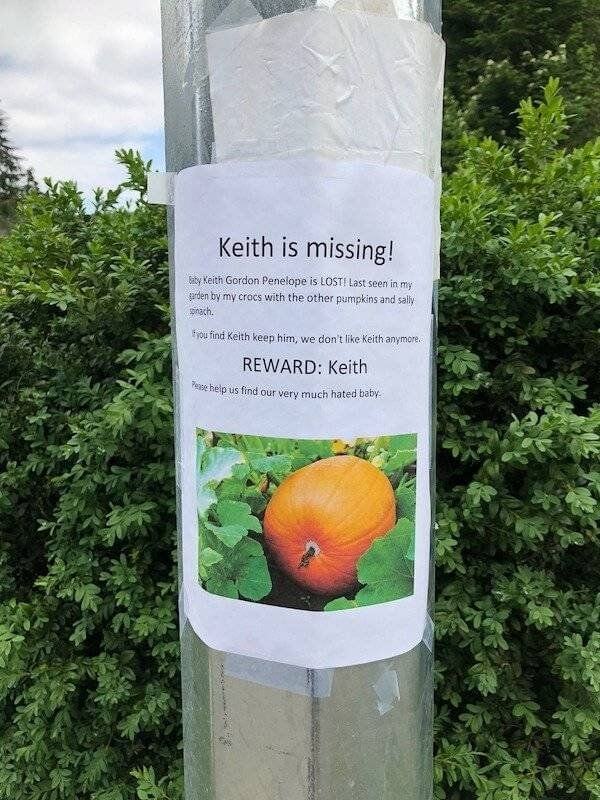 You Don't See Things Like This Every Day 