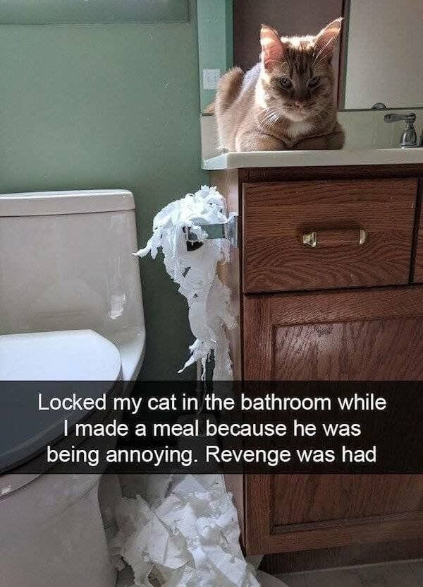 You Don't See Things Like This Every Day 