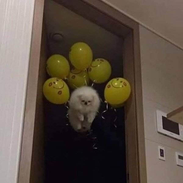 You Don't See Things Like This Every Day 